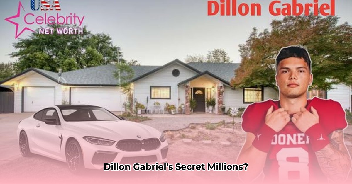 dillon-gabriel-net-worth